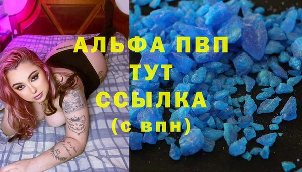 ПСИЛОЦИБИНОВЫЕ ГРИБЫ Елабуга