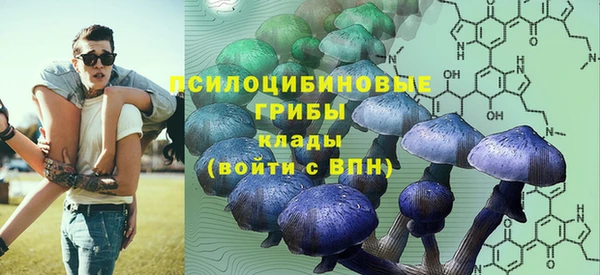 ПСИЛОЦИБИНОВЫЕ ГРИБЫ Елабуга